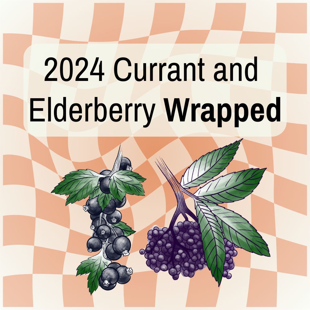 Orange background, illustrated images of currant and elderberry plants with the title "2024 currant and elderberry wrapped"