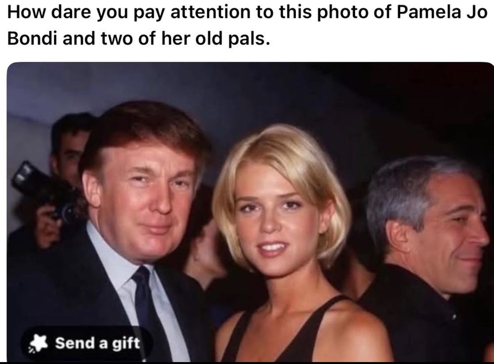Photo of Donald Trump, a very young Pam Bondi and Jeffrey Epstein. 