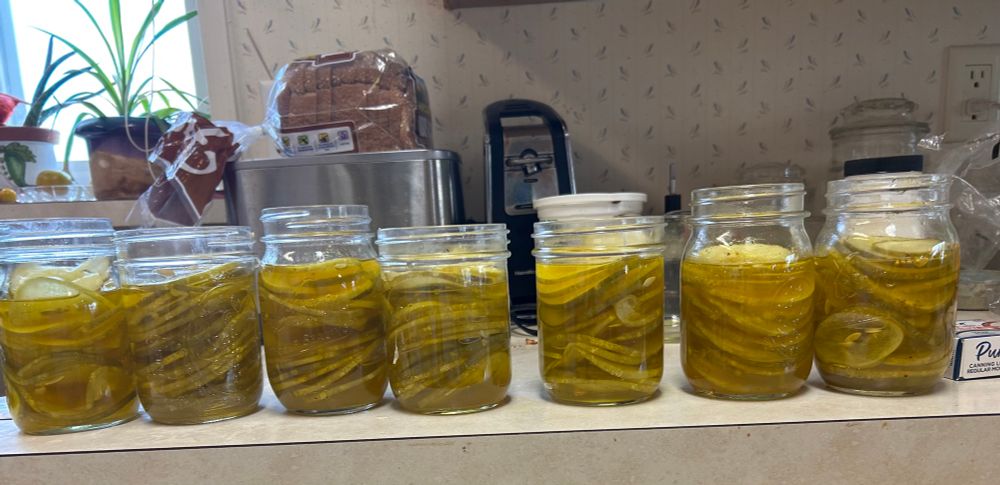 Seven jars of freshly made pickles