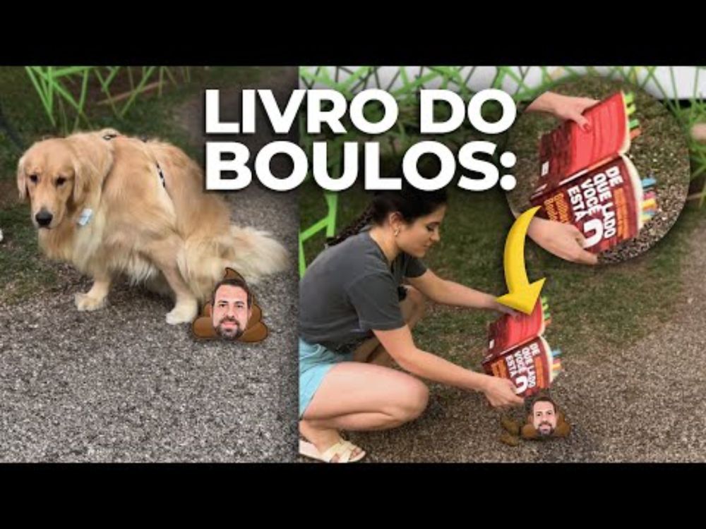 LI O LIVRO DO GUILHERME BOULOS e agora preciso de um ANALGÉSICO