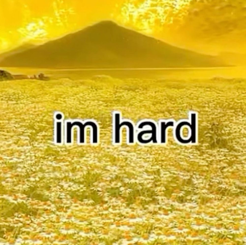 very yellow picture. flowers in the foreground, mountain in the background. text reads: i’m hard 