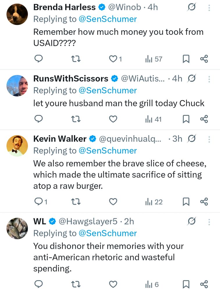 Four screenshots replying to Chuck Schumer on X. The first alleges he stole money from USAID, second says he should let his husband grill, third mocks his grilling, fourth calls him anti American 