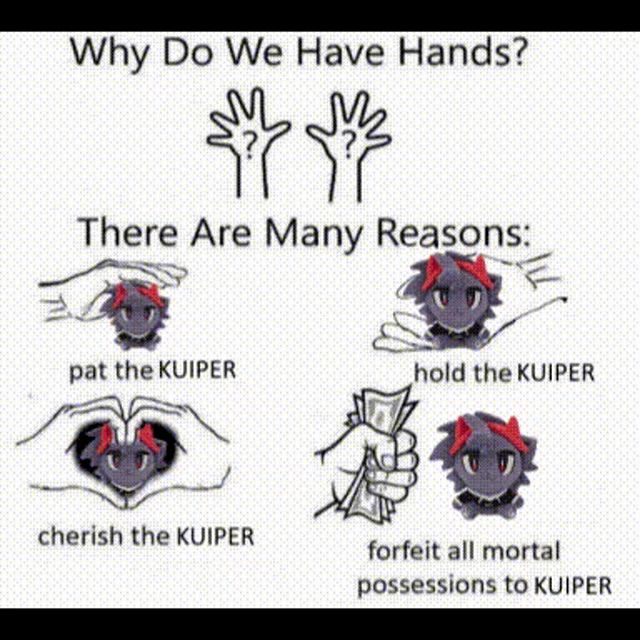 why do we have hands ? there are many reasons pat the kuiper cherish the kuiper forfeit all mortal possessions to kuiper