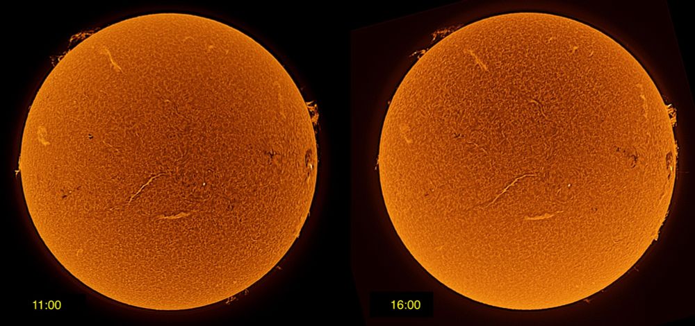 Two images of the sun in hydrogen alpha.  The left image was taken at 11:00 and the right at 16:00.  Both disks show prominences at the edge of the disk and filaments on the solar disk.  Comparison of the two images shows changes in the prominences over 5 hours.