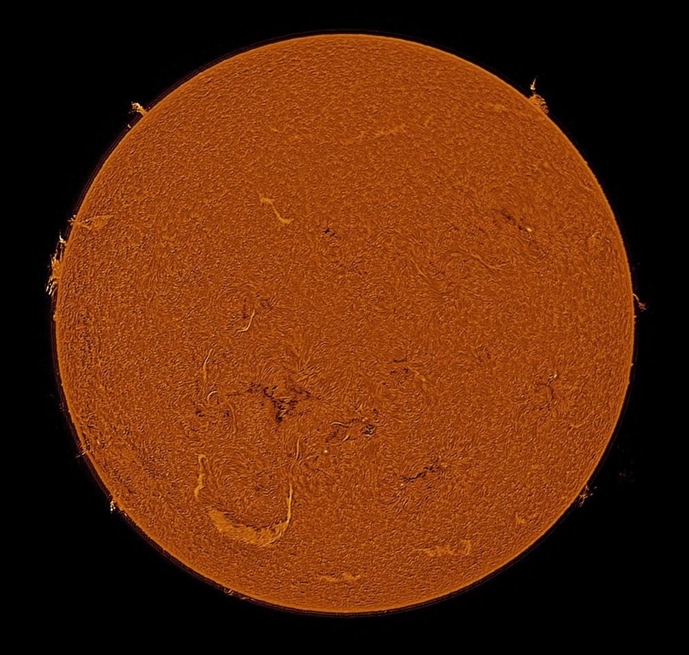 Sun imaged in hydrogen-alpha from Edinburgh.  Solar disk is inverted which makes the filaments light rather than dark.  Large prominences visible at 9 o'clock, 10 o'clock and 1 o'clock.