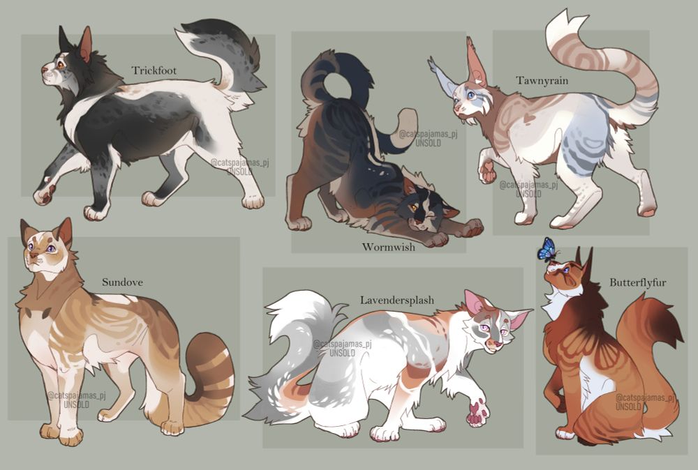 six digitally drawn cat designs: a black-and-white, a dark tabby, a dilute calico, a golden tabby, a gray-and-white, and an orange tabby