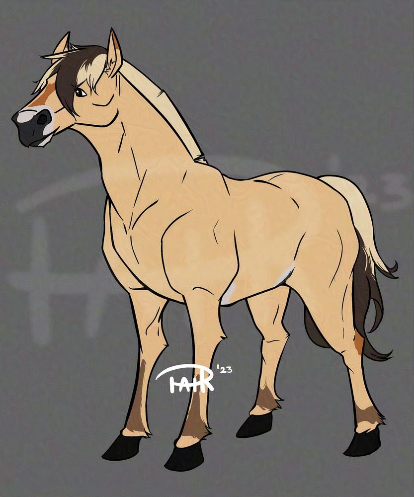 drawing of a norwegian fjord horse