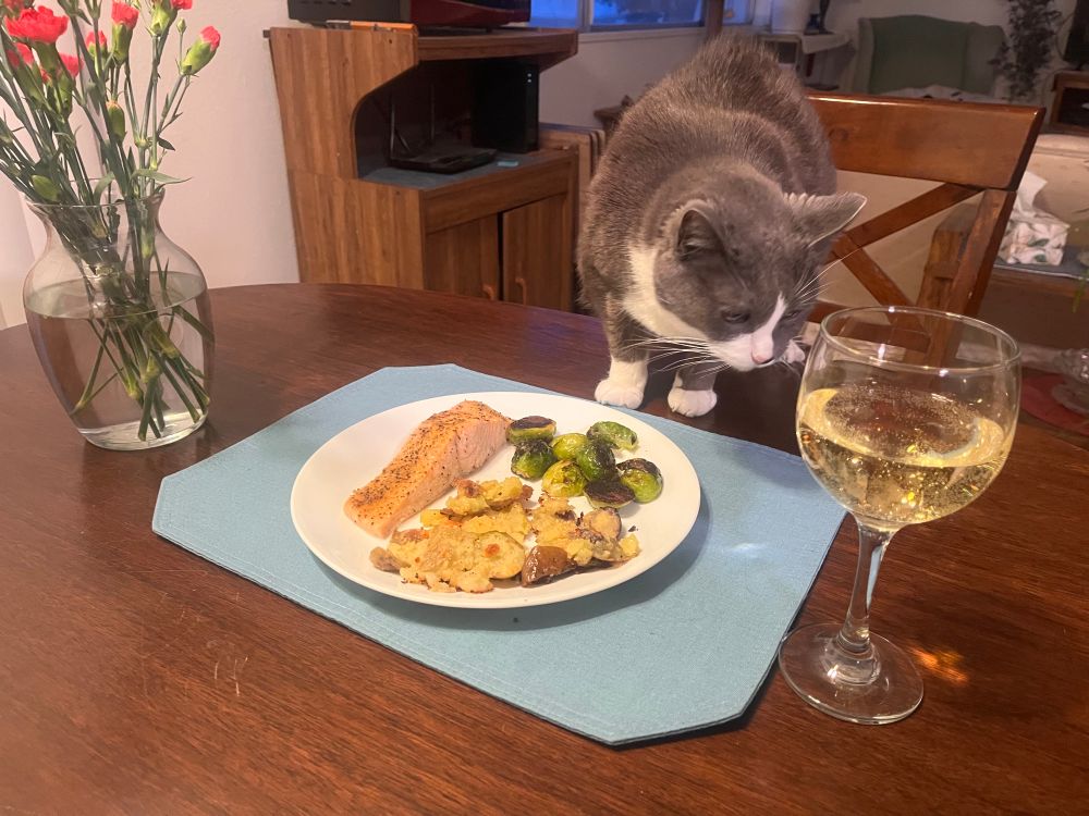 My cat , Betty, on my dining room table with a plate of salmon, potatoes, and Brussel sprouts in front of her. There is also a bouquet of flowers in a vase and a glass of white wine on the table.