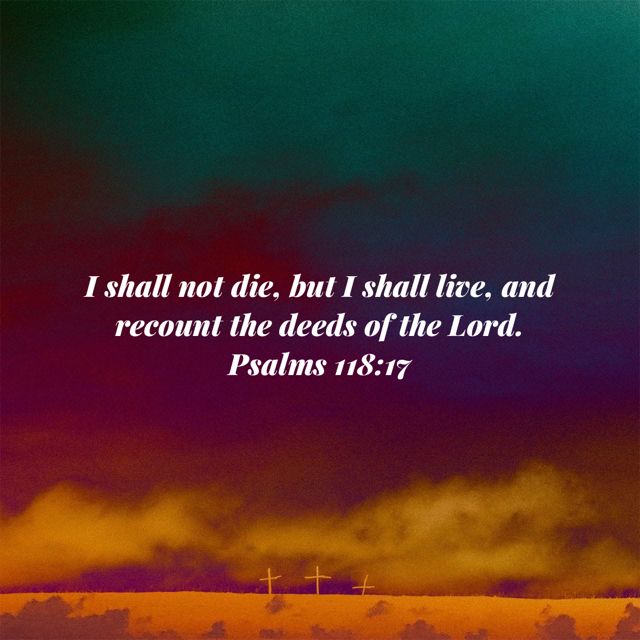 I shall not die, but I shall live, and recount the deeds of the Lord.
‭‭Psalms‬ ‭118‬:‭17‬ ‭RSV-C‬‬