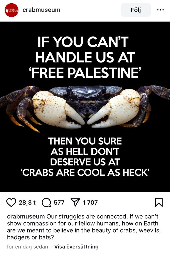 Skärmklipp från Instagram, användaren crabmuseum.
Text i bild: If you can’t handle us at ‘Free Palestine’ then you sure as hell don’t deserve us at ‘Crabs are cool as heck’. 