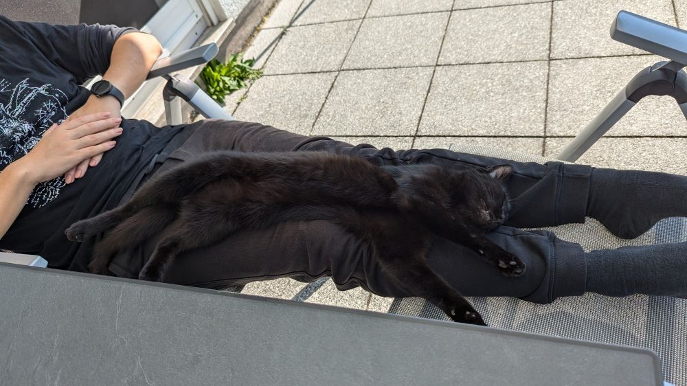 My black cat Rune sleeping on his back with all four of his legs stretched away from his body lying on my legs.