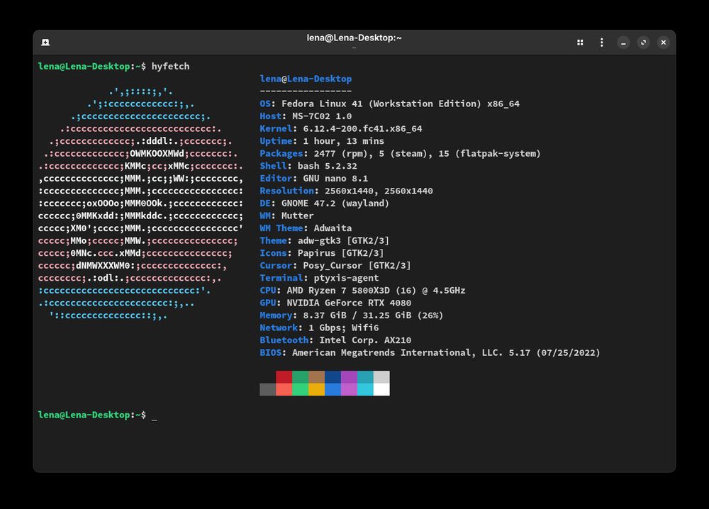 A screenshot of my terminal with my hyfetch output showing that I'm using Fedora Linux 41 (Workstation Edition), kernel version 6.12.4, GNOME version 47 (wayland), a Ryzen 7 5800X3D and a RTX 4080