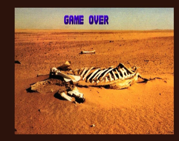 Game Over screen from the game Kang Fu, a comic sidescroller, for the Amiga CD32. It shows a RL photo of a rotten kangaroo skeleton in an Australian desert with the words "Game Over" in blue letters above.
