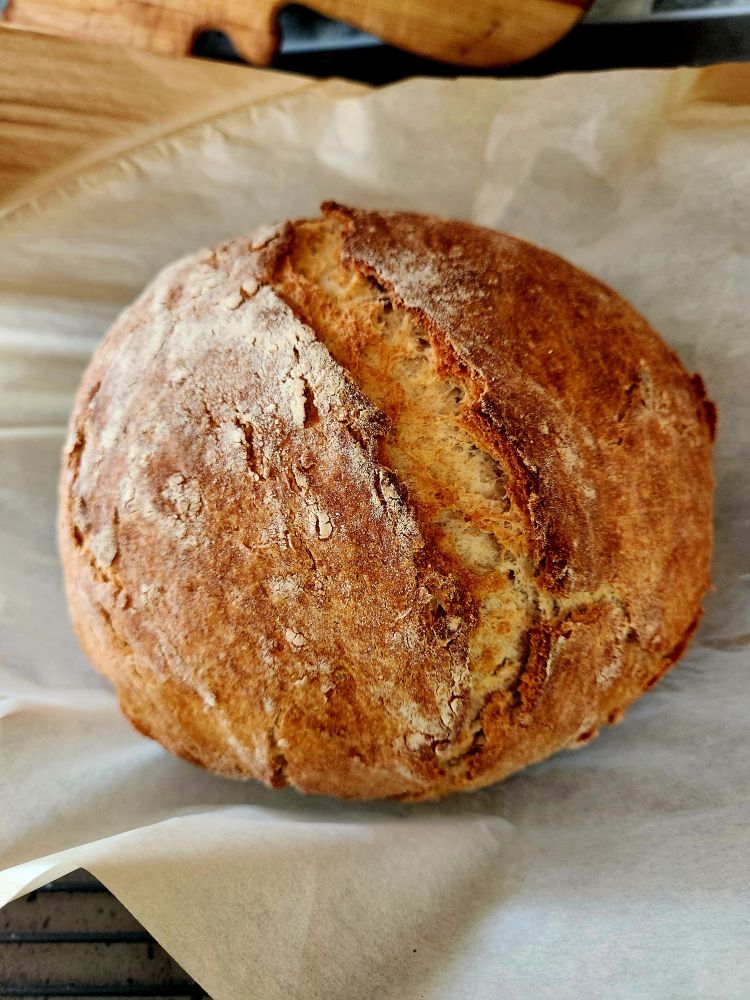 A brown, crusty round of homemade sourdough bread.