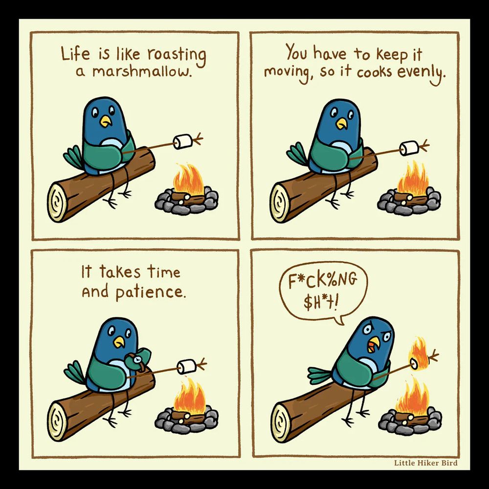 comic of Little Hiker Bird roasting a marshmallow over a campfire. Text: "Life is like roasting a marshmallow. You have to keep it moving, so it cooks evenly. It takes time and patience." The marshmallow catches fire and burns, and the bird responds "F*CK%NG $H*T!"