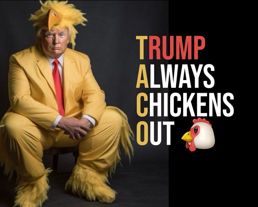 A picture showing Donald Trump dressed as a chicken.
Text: TRUMP ALWAYS CHICKENS OUT