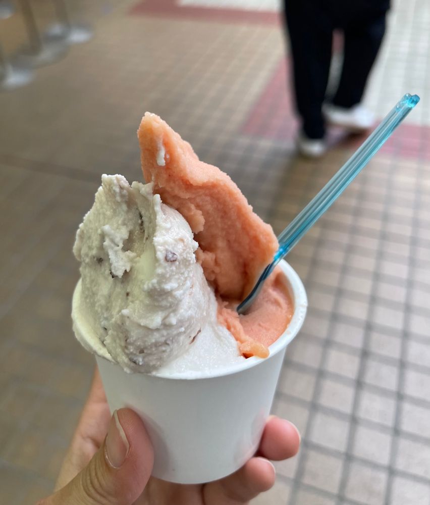 ジェラートの写真です