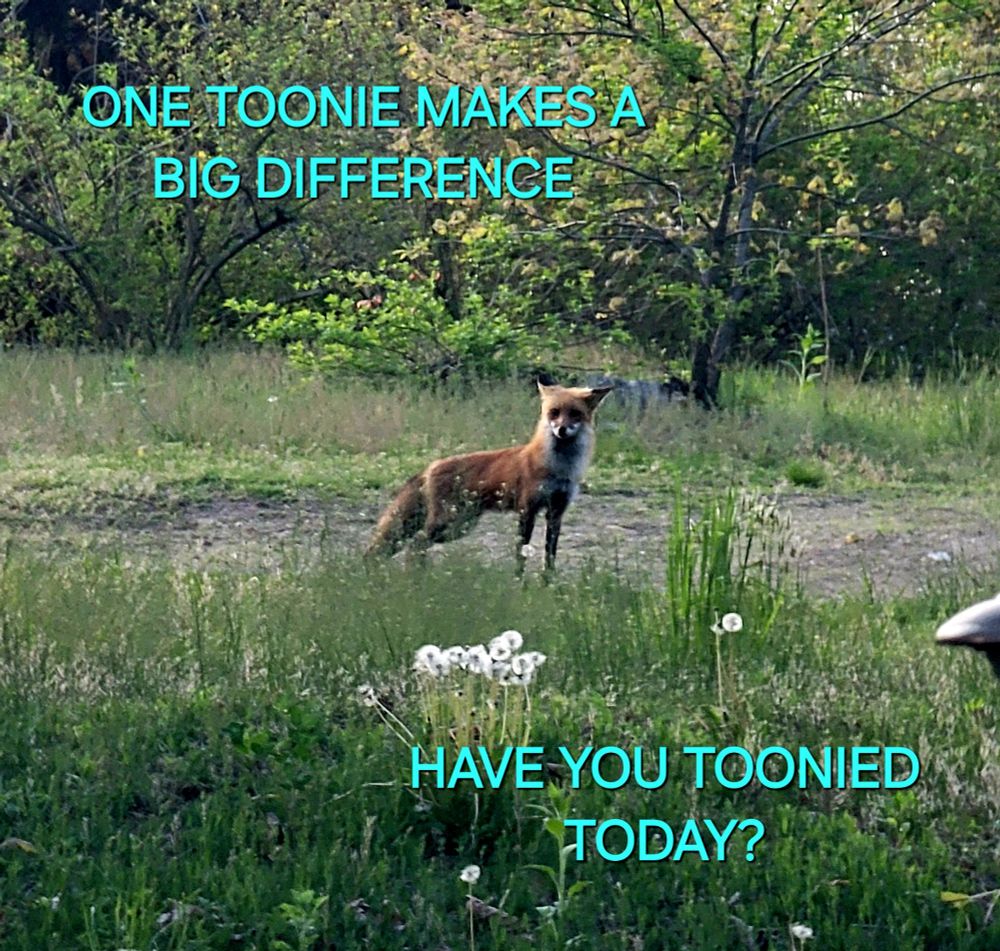 Comment image