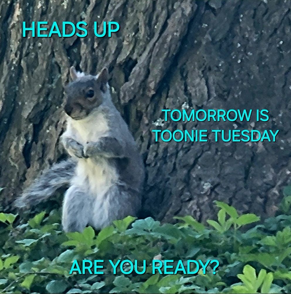 Comment image