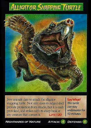 Credit: https://weirdnwildcreatures.fandom.com/wiki/Alligator_Snapping_Turtle