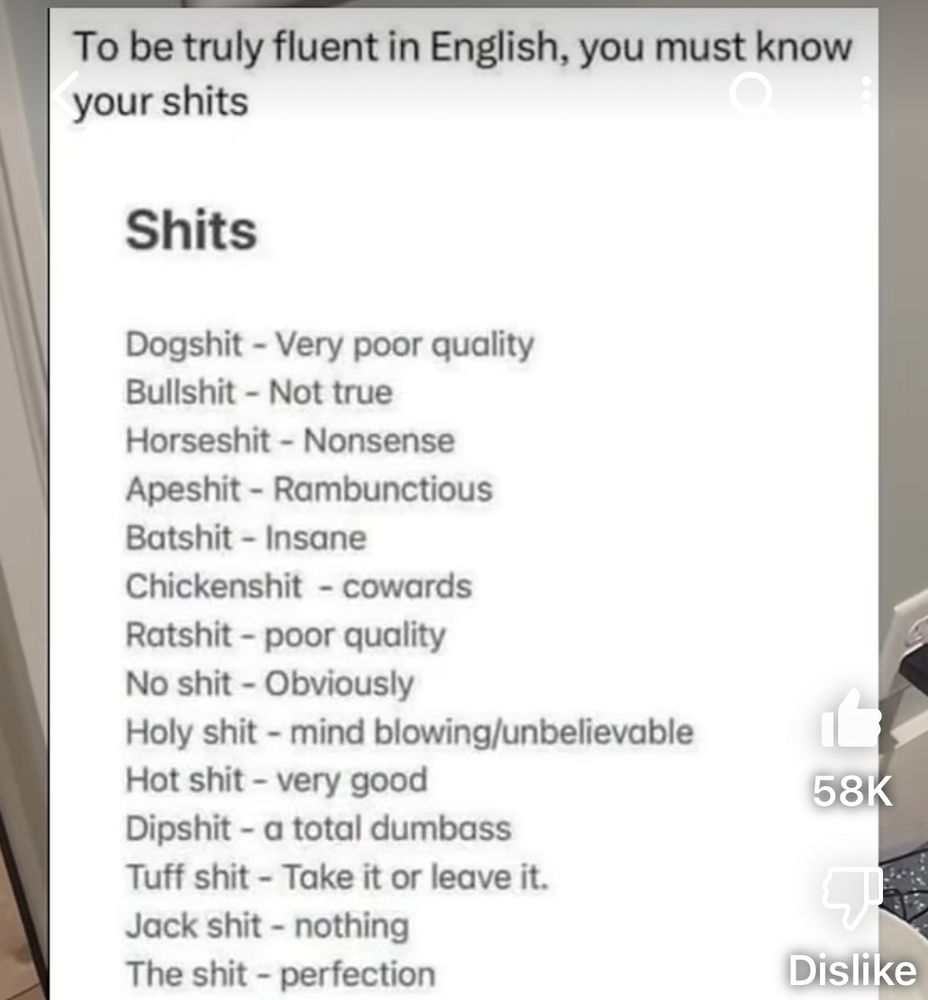 A list of kinds of shit such as no shit - obviously 