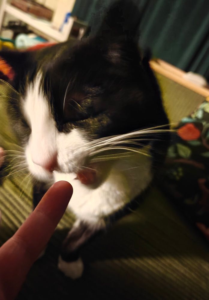 At the height of the butter frenzy, Carmen appears to be ready to bite down the finger and just REALLY go to town on it. Wrath has overtaken her. 