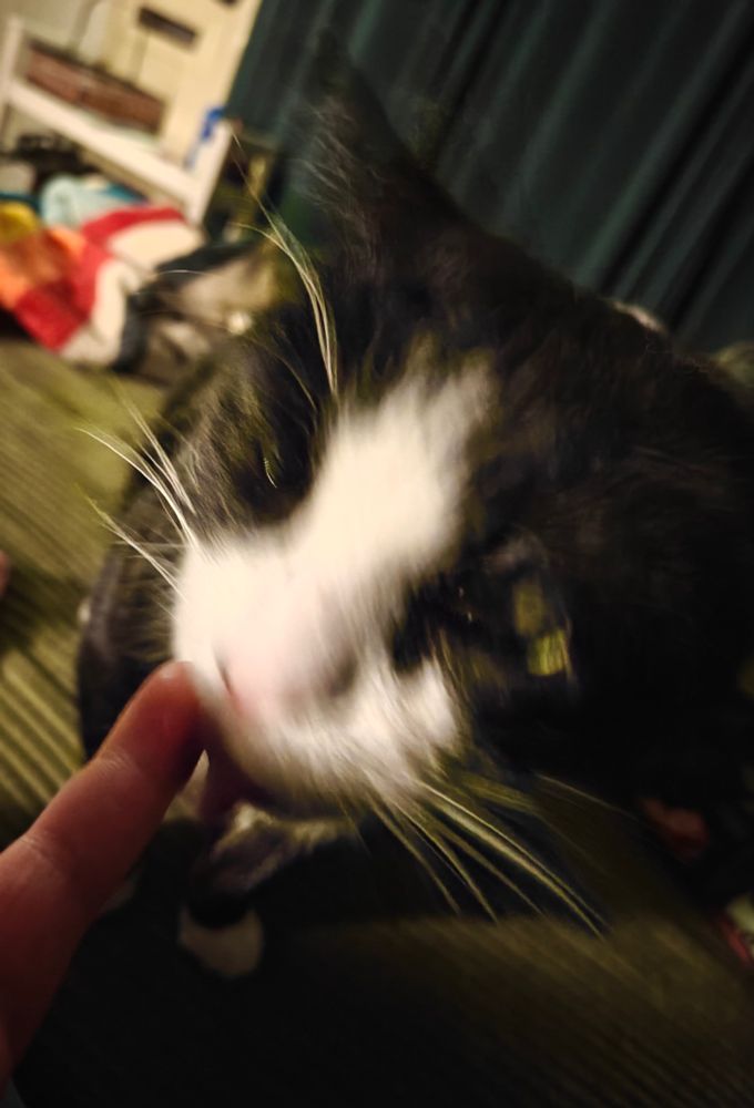 The butter frenzy deepens. Carmen's moving fast enough and the camera is zoomed in enough that she appears almost distorted. Things are looking manic.