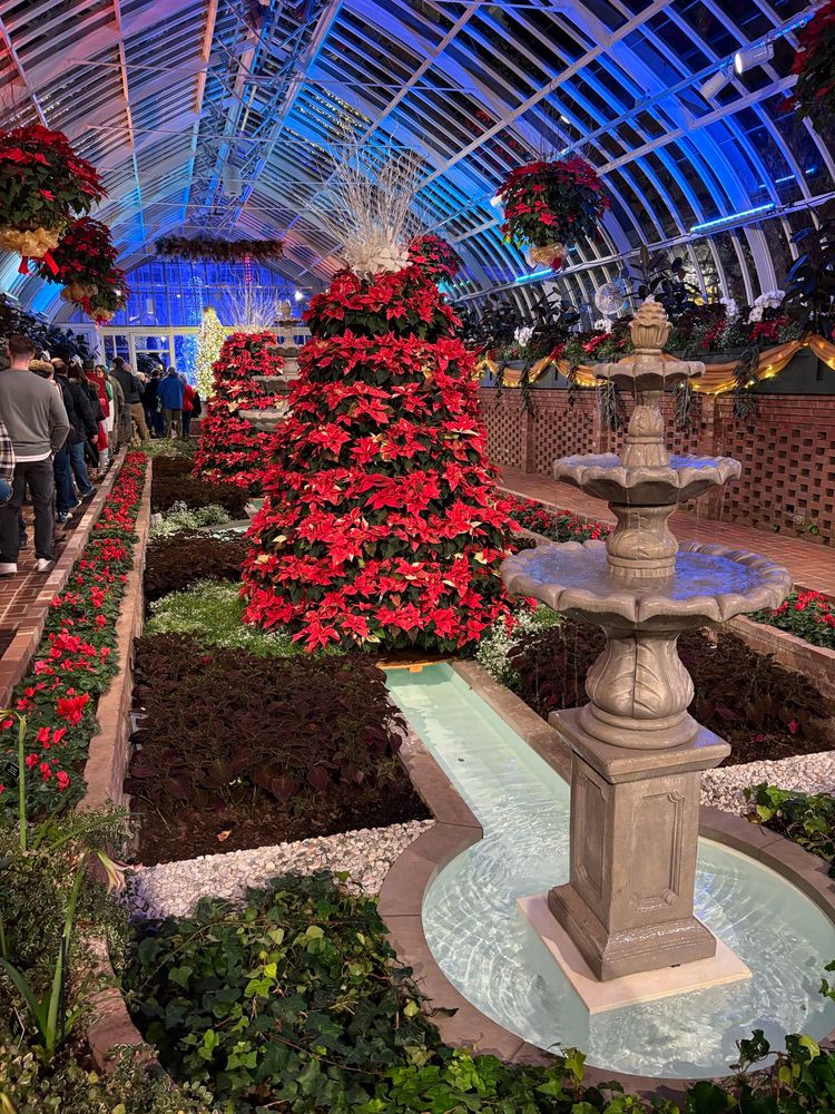 A water fountain in front of a large display of poinsettias 