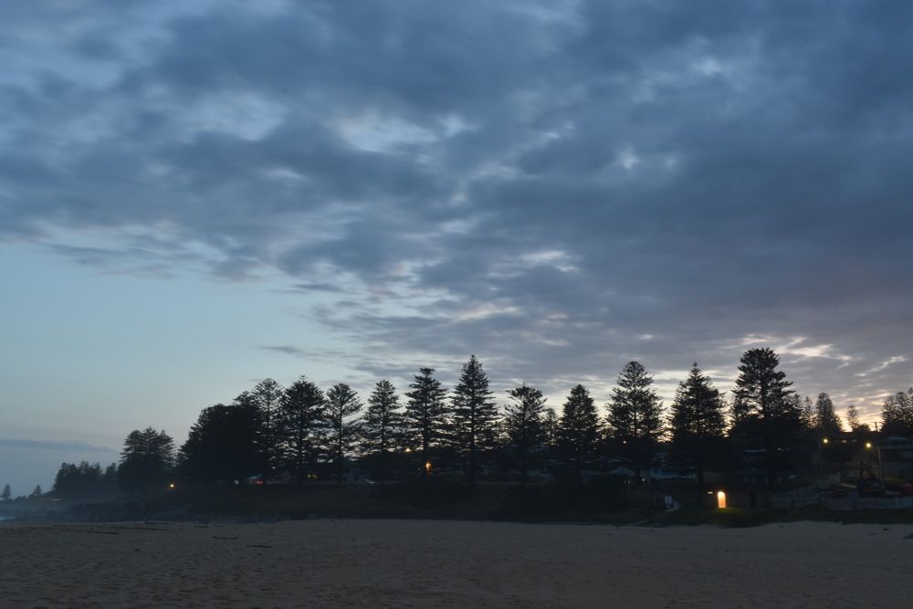 A row of pine trees lines a hill leading to Coila Beach; the sky is at evening twilight with clouds lining most of the sky, plus a faint sunset glow towards the right of the photo.