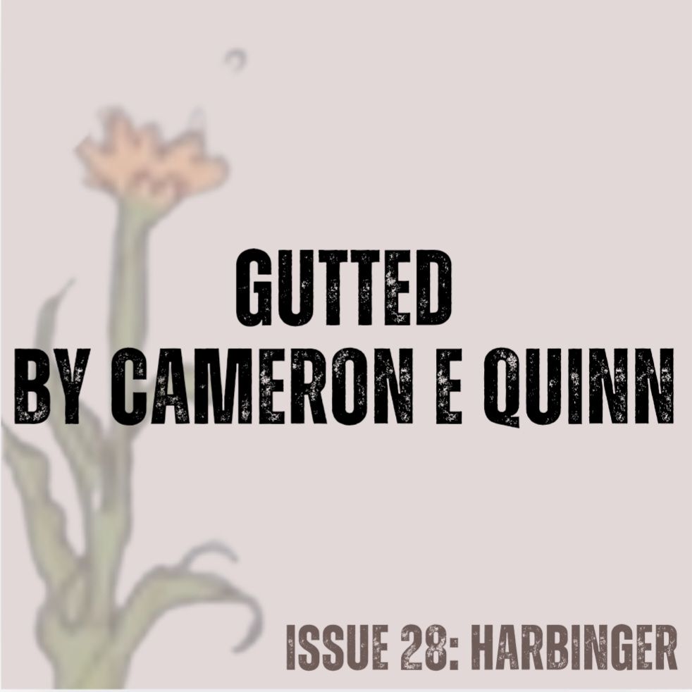 Pale pink background with a yellow flower (from cover art by Annalise Jensen).
Text in black - Gutted by Cameron E Quinn
Text in brown - ISSUE 28: HARBINGER