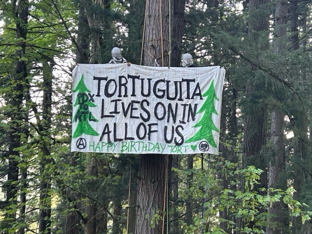 Two people wearing keffiyehs hanging in a tree carrying a banner that reads “Tortuguita lives on in all of us” and “happy birthday tort” On both sides of the banner there is a green tree, and on the tree on the left it says “PDX to ATL”