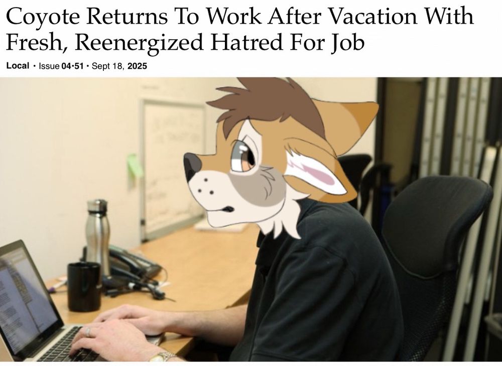 Edit of The Οniоn’s classic “Man Returns To Work…” article, now reading “Coyote Returns To Work After Vacation With Fresh, Reenergized Hatred For Job”. The photo of an office worker sullenly sitting at a desk has similarly been edited with the head of a cartoon coyote wearing an uneasy expression.