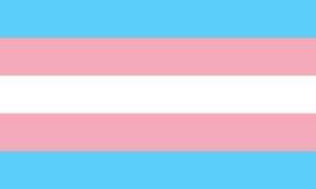 Trans flag