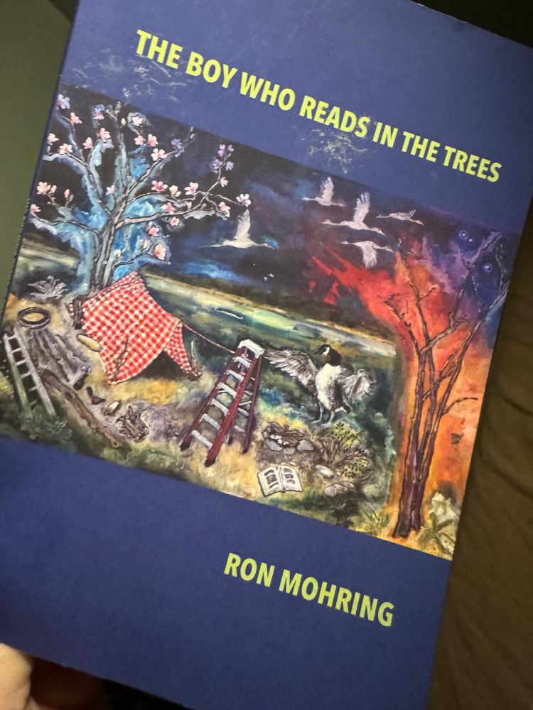 Cover to The Boy Who Reads in the Trees by Ron Mohring