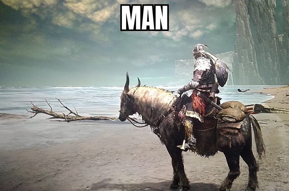 Elden Ring guy on horse, standing on the beach, looking out at the horizon with "MAN" captioned at the top. 