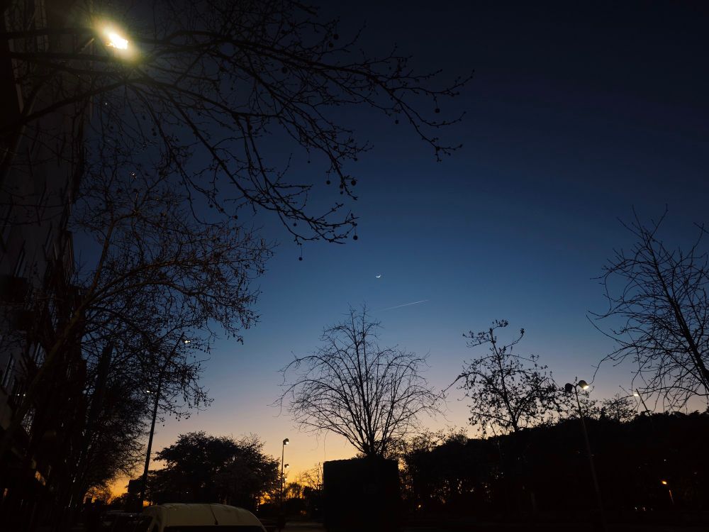 Atardecer con árboles y luna nueva 