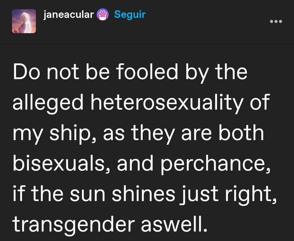 screenshot of online post saying: “do not be fooled by the alleged heterosexuality of my ship, as they are both bisexuals, and perchance, if the sun shines just right, transgender as well.” 
