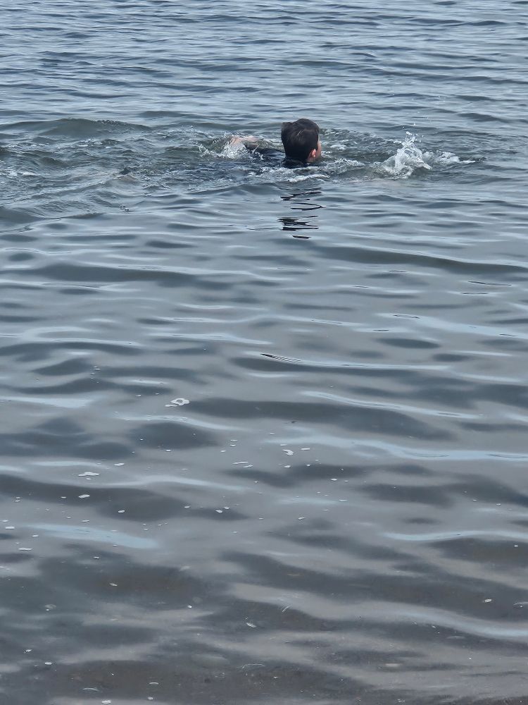 Photos ofaperaon swimming in water