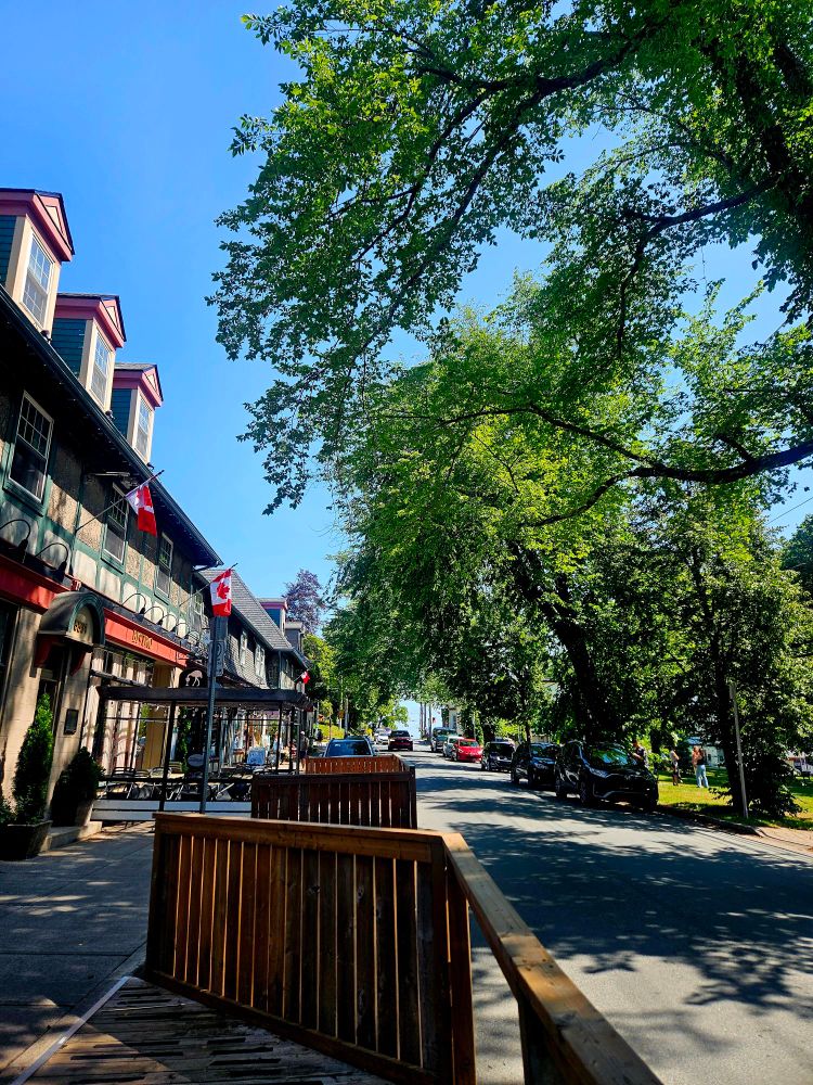 Photo of a sidewalk with stores on left, and trees on the right