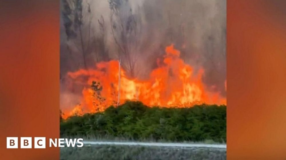 Watch: Fires blaze along Miami highway