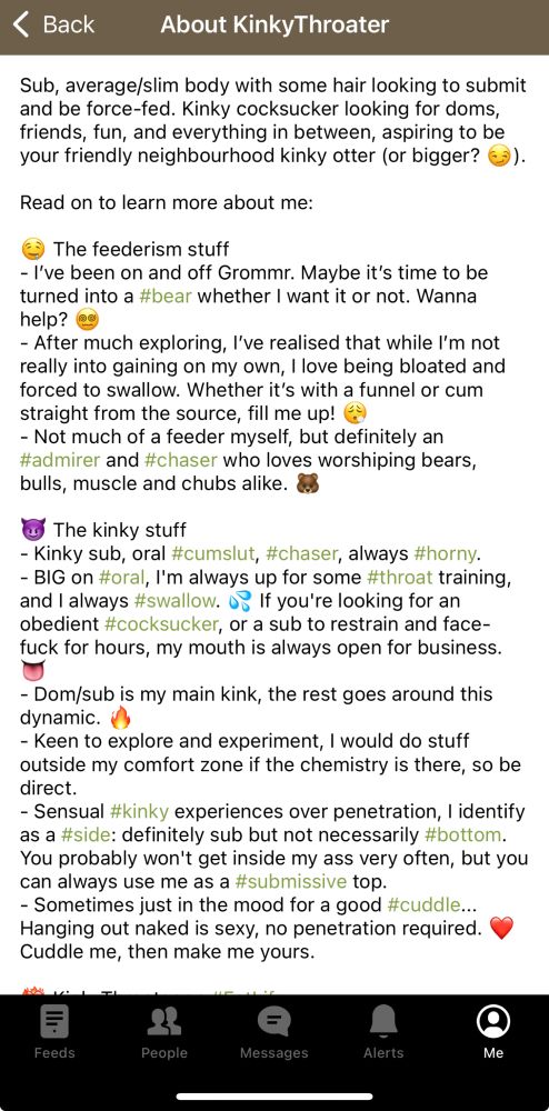 Screenshot of my Grommr profile bio