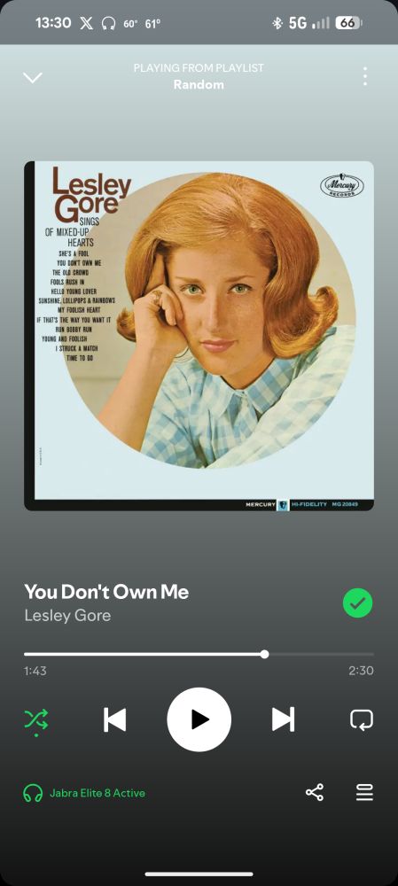 Spotify screenshot of the song "You Don't Own Me" by Lesley Gore