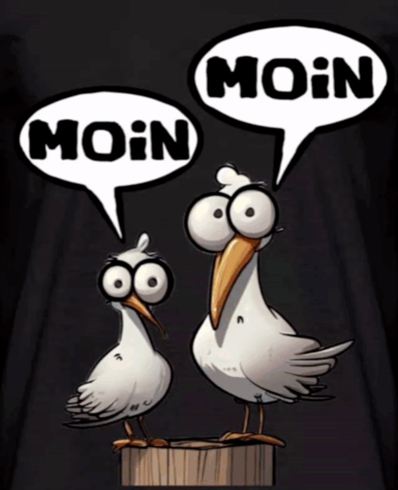 two seagulls standing next to each other with speech bubbles that say " moin "