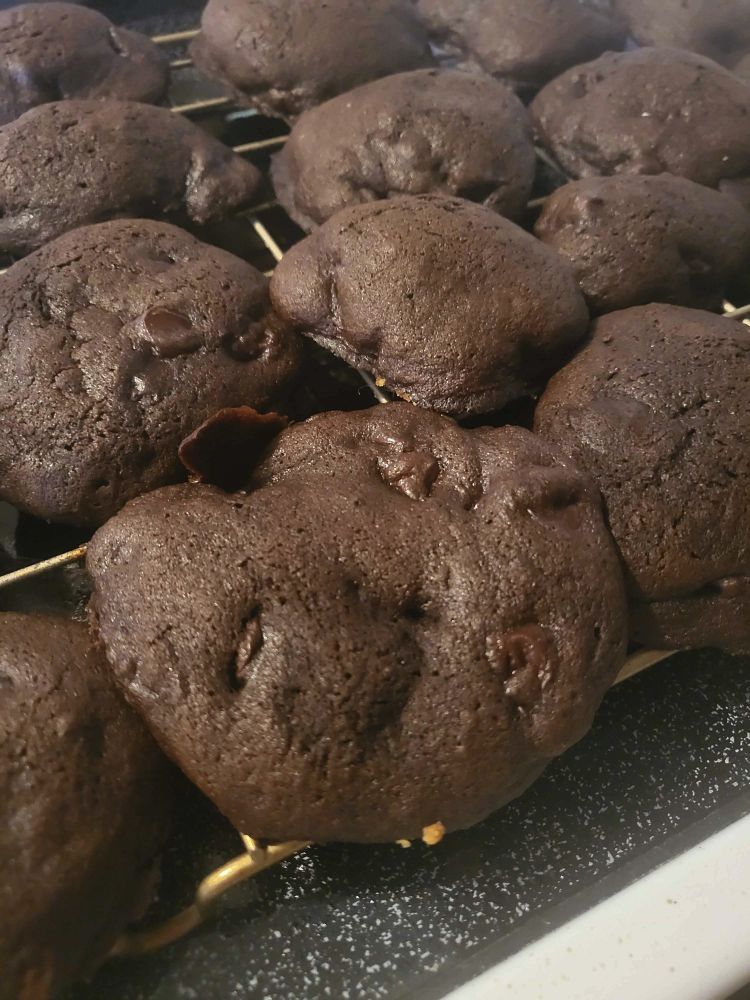 a close up photos of gooey brown chocolate cookies with chocolate chips