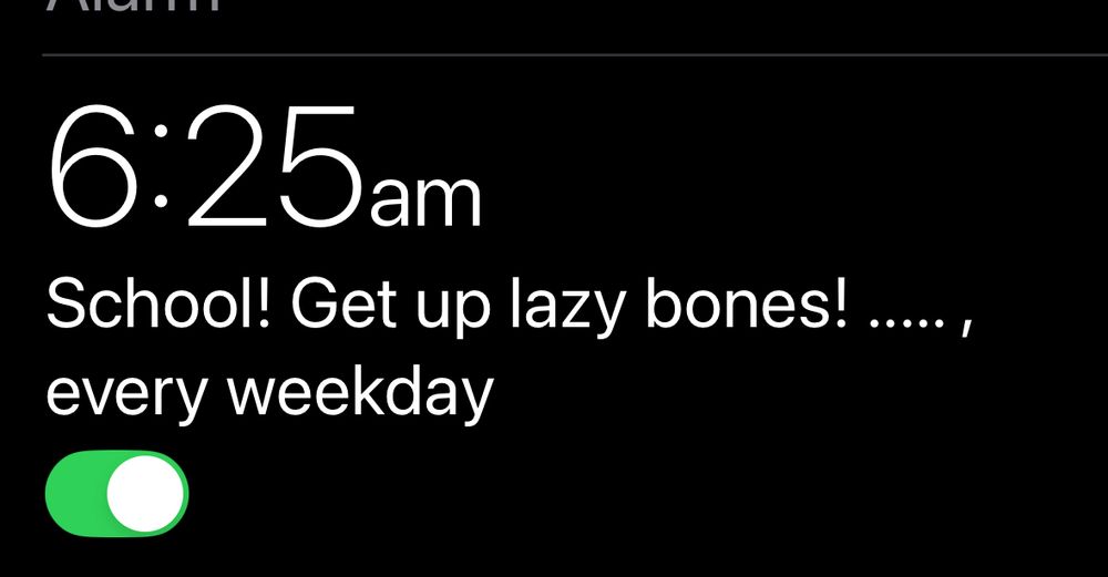 Alarm setting at 6:25am that is labelled as “School! get up lazy bones …” 
Every weekday 