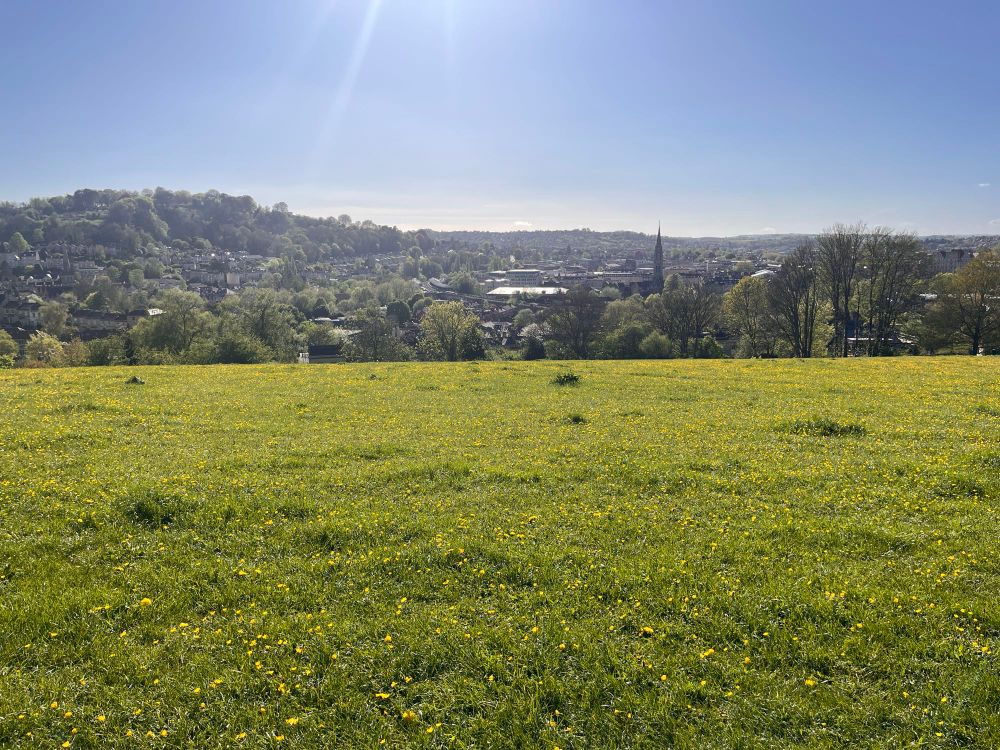 View of the city of Bath from the Meadows in Bathwick. The sky is blue, the sun is shining down, and the meadow is covered in buttercups. 