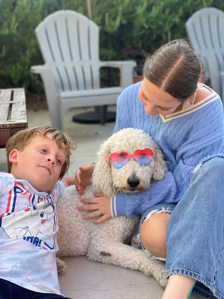 A Bernadoodle wears heat shaped sunglasses 