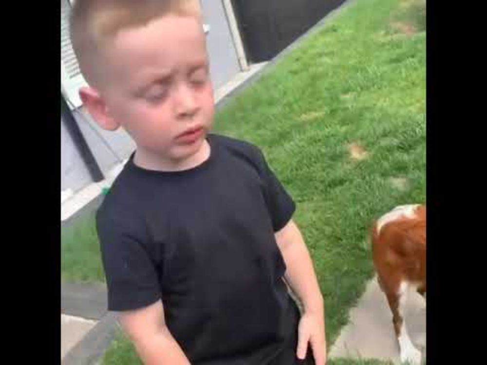 Little Boy Frees Pet Butterfly but he Instantly Gets Eaten by his Pet Dog - 1214182