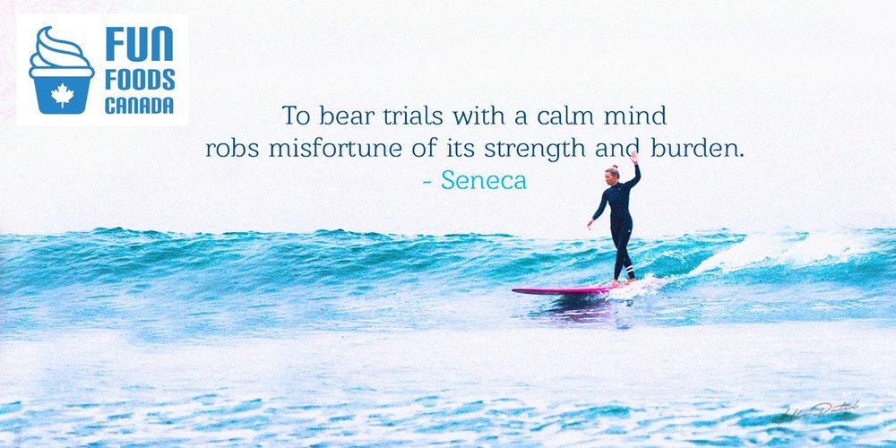 9:56 AM 2025-01-28

Good Morning, Today is Tuesday January 28th, day 28 of the year 2025. After today exactly 337 days are remaining in this year.

To Bear Trials with a Calm Mind Robs Misfortune of its Strength & Burden. — Seneca

Wishing you a wonderful day.  Sam @ Fun Foods Canada https://funfoods.ca