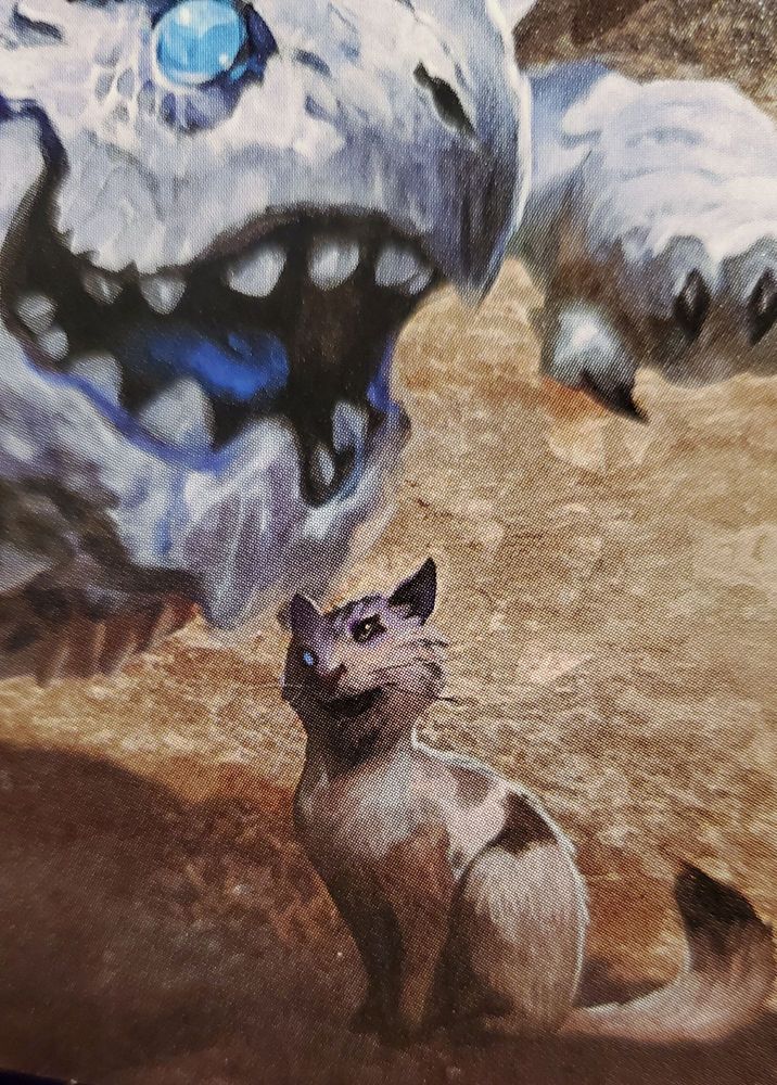 A picture from Dungeons and Dragons 2024 Monster Manual. It is a cat with an uneven face that is aligned oddly on it's head. It has an almost lion like nose and muzzle, it's right eye is very high above it's left but the ears don't signify a tilted head. It has a normalgreen cat's eye on the right but a pure blue orb for the left eye.